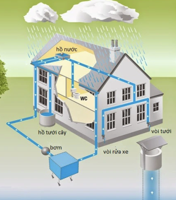 Tìm hiểu hệ thống thu gom nước mưa sinh hoạt