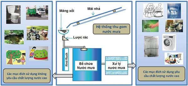 Hệ thống thu gom nước mưa sinh hoạt là gì?