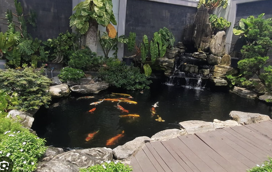 Đi đường ống nước hồ cá Koi