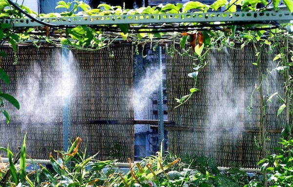 Hệ thống phun sương quán cà phê hoạt động như thế nào?